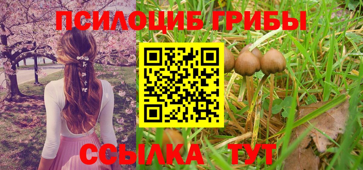 Галлюциногенные грибы Magic Shrooms  Вход с VPN  Донецк 