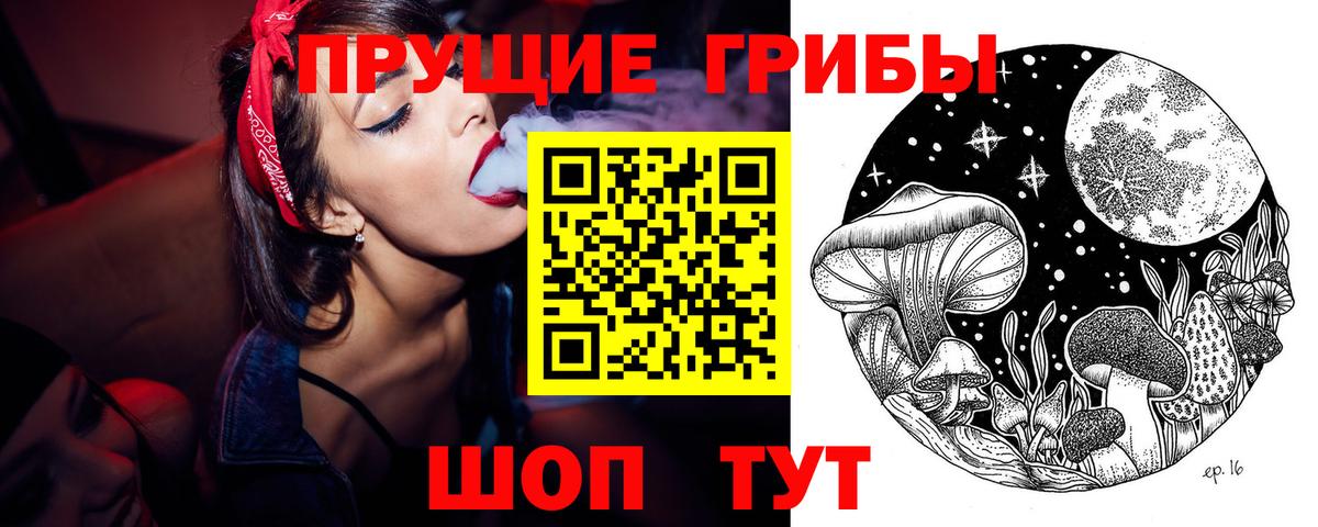 Псилоцибиновые грибы Cubensis Донецк